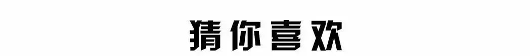 种子引擎搜索_搜索引擎_引擎搜索下载