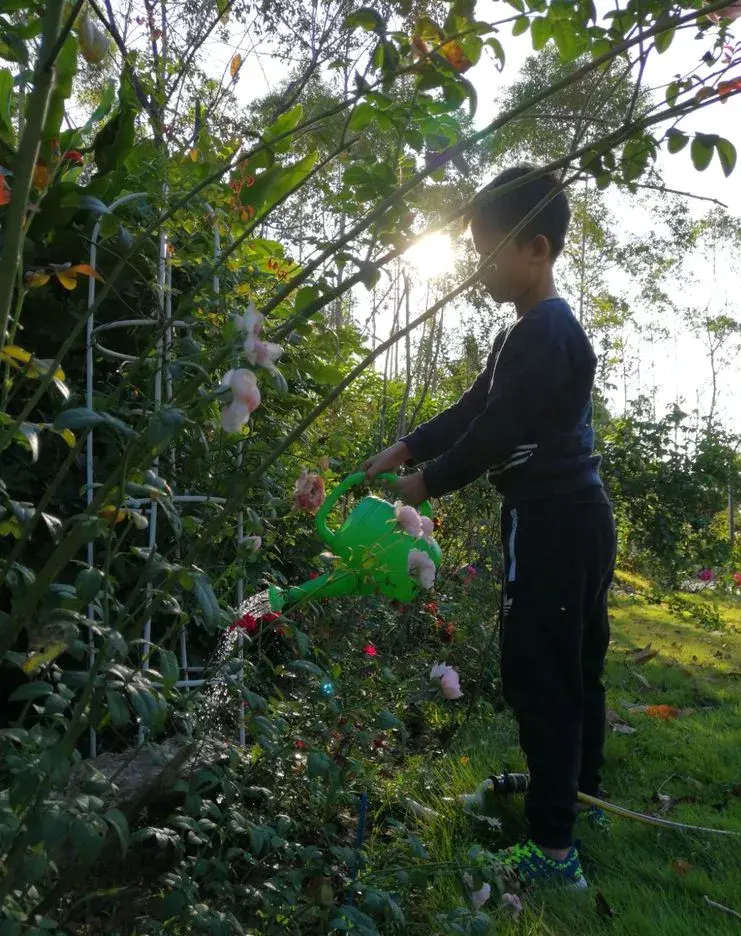 梦幻庭院怎么种植物_梦幻庭院种植攻略_梦幻庭院种植攻略2020