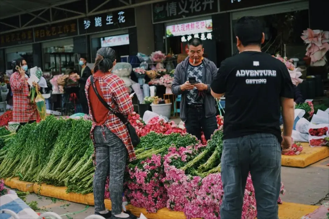 夏天旅游去哪比较好_夏天旅游去三亚好还是青岛好_夏天去哪旅游