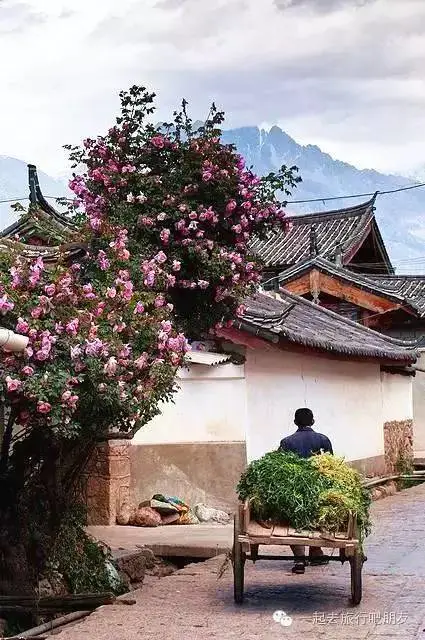 东川红土地什么时候最美_东川红土地最佳旅游季节_东川红土地最佳旅游时间