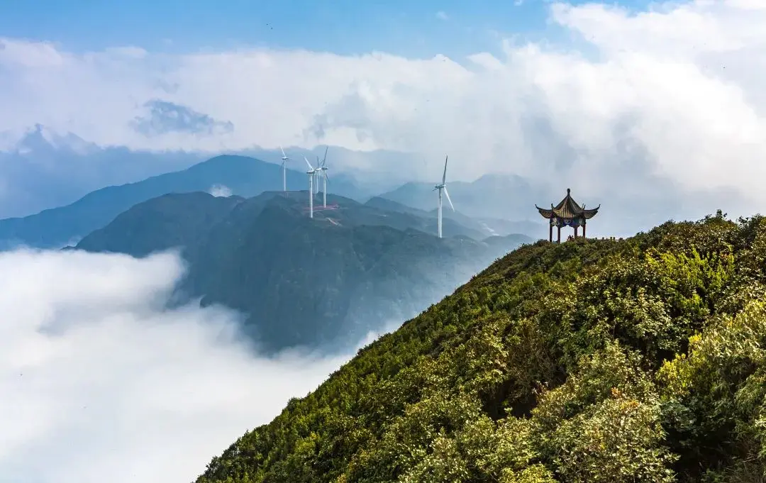 夏天去哪旅游_夏天旅游去三亚好还是青岛好_夏天旅游去哪比较好