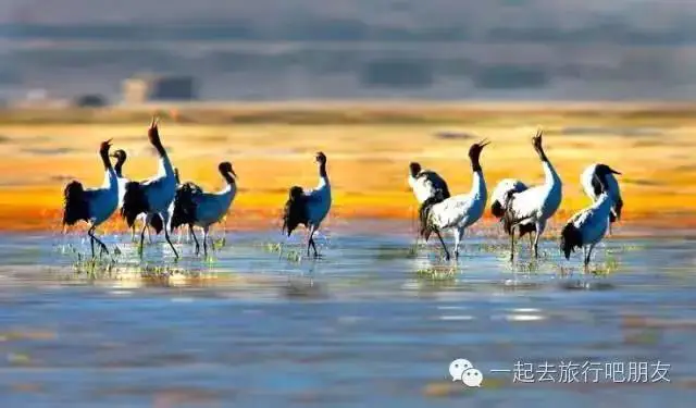 东川红土地最佳旅游季节_东川红土地最佳旅游时间_东川红土地什么时候最美