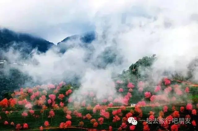 东川红土地什么时候最美_东川红土地最佳旅游时间_东川红土地最佳旅游季节