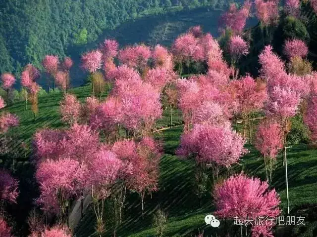 东川红土地什么时候最美_东川红土地最佳旅游时间_东川红土地最佳旅游季节