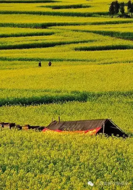 东川红土地最佳旅游季节_东川红土地什么时候最美_东川红土地最佳旅游时间