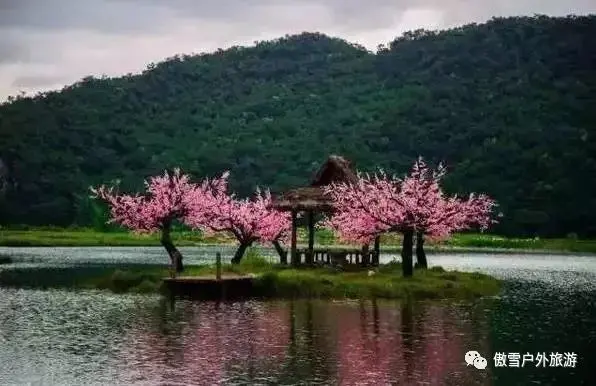 东川红土地最佳旅游时间_东川红土地最佳地方_东川红土地最佳旅游季节