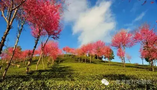 东川红土地最佳旅游季节_东川红土地最佳旅游时间_东川红土地什么时候最美