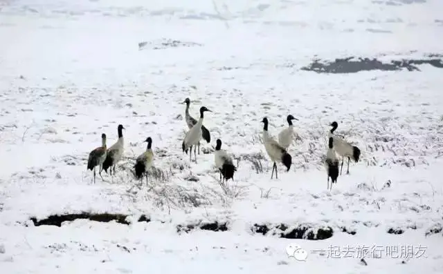 东川红土地什么时候最美_东川红土地最佳旅游时间_东川红土地最佳旅游季节