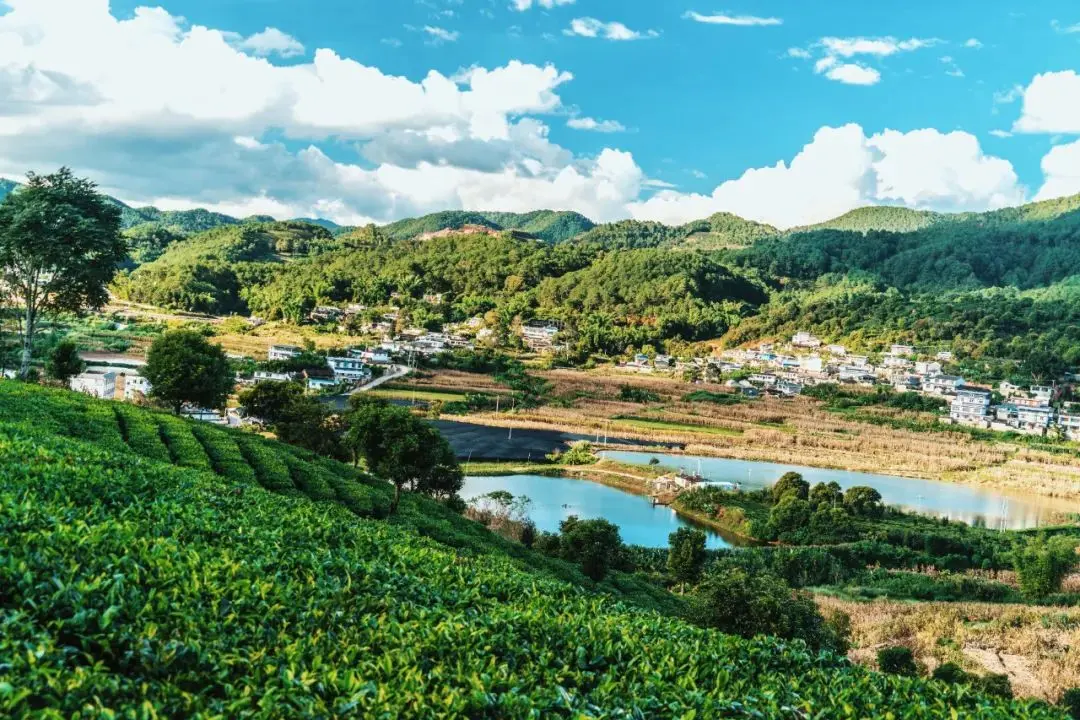 夏天旅游去三亚好还是青岛好_夏天旅游去哪比较好_夏天去哪旅游