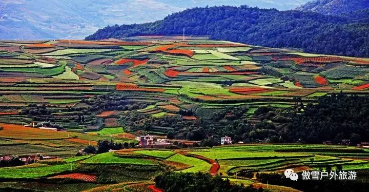 东川红土地最佳旅游时间_东川红土地最佳地方_东川红土地最佳旅游季节