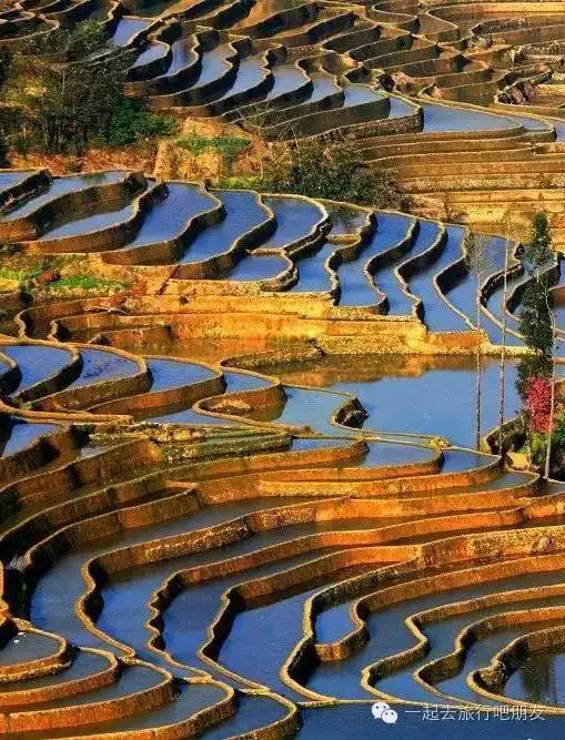 东川红土地什么时候最美_东川红土地最佳旅游季节_东川红土地最佳旅游时间