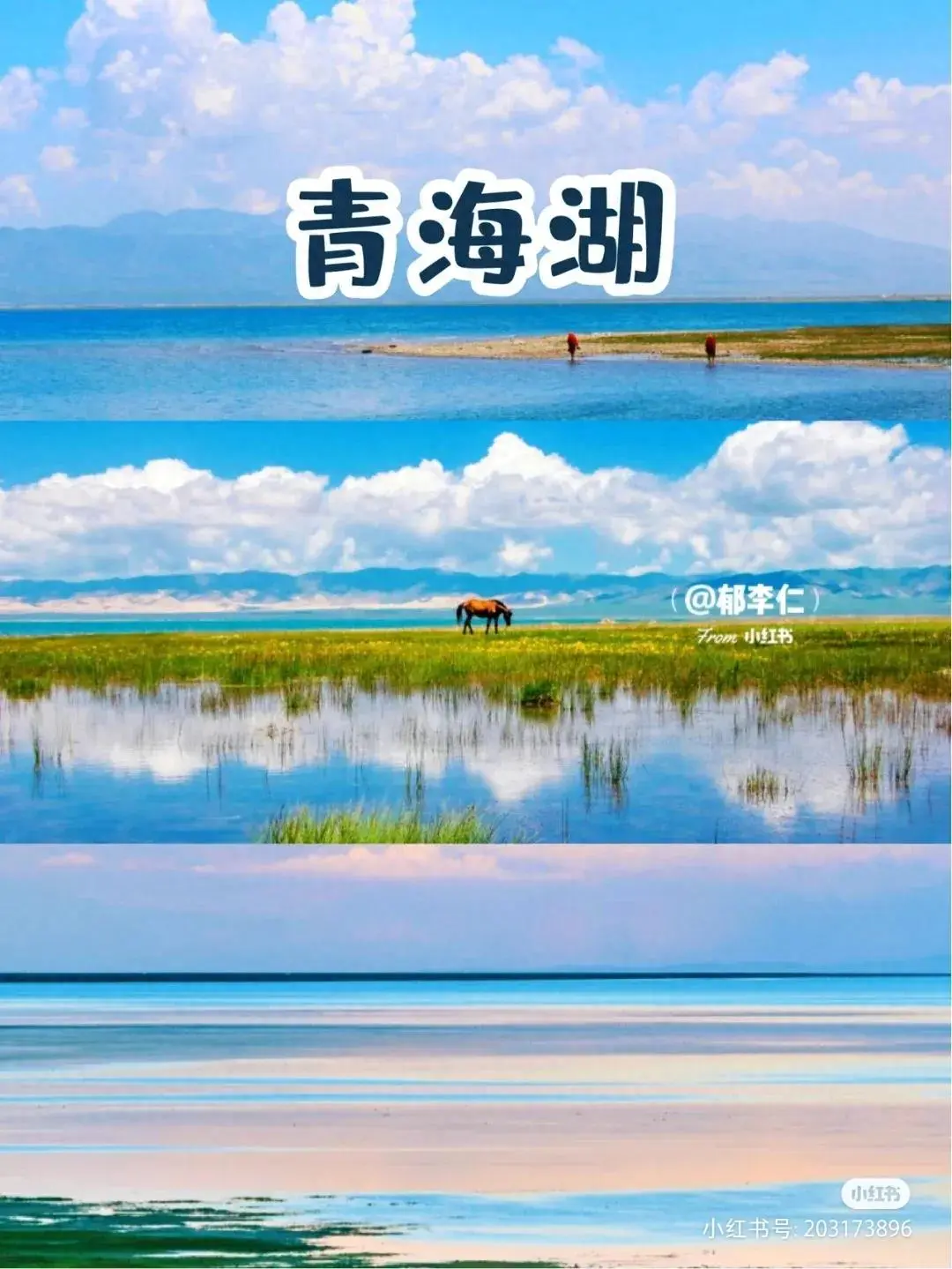 西宁包车旅游费用_西宁旅游包车_西宁包车旅游电话