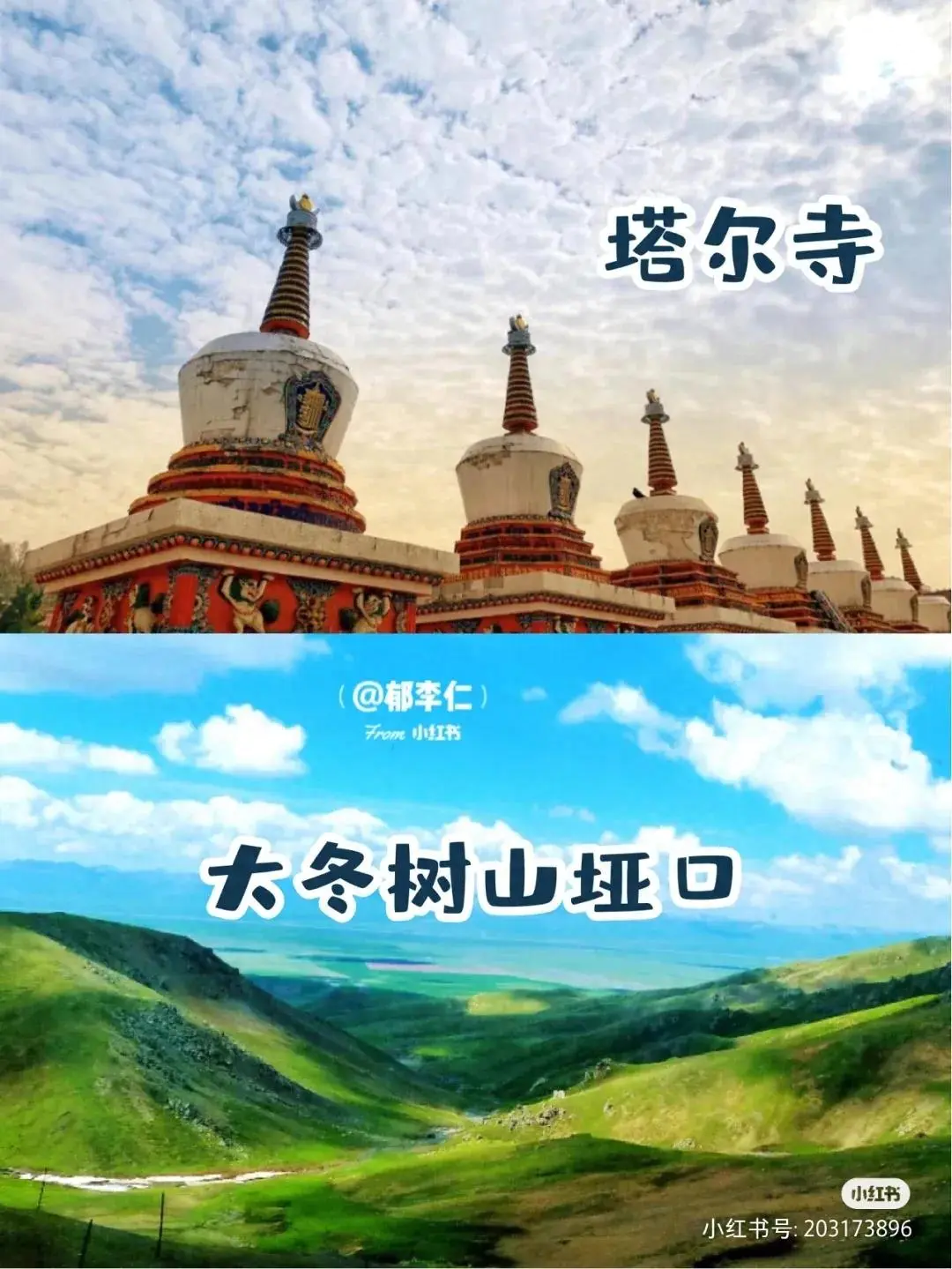 西宁包车旅游电话_西宁旅游包车_西宁包车旅游费用