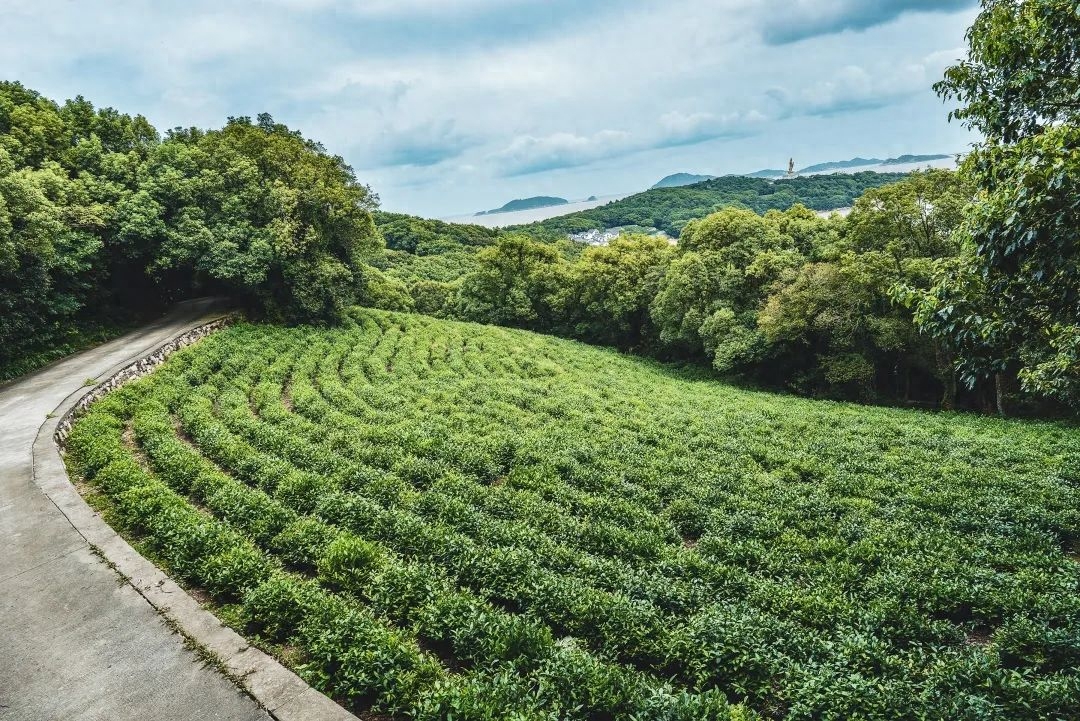 普陀山旅游_普陀山度假_普陀l山