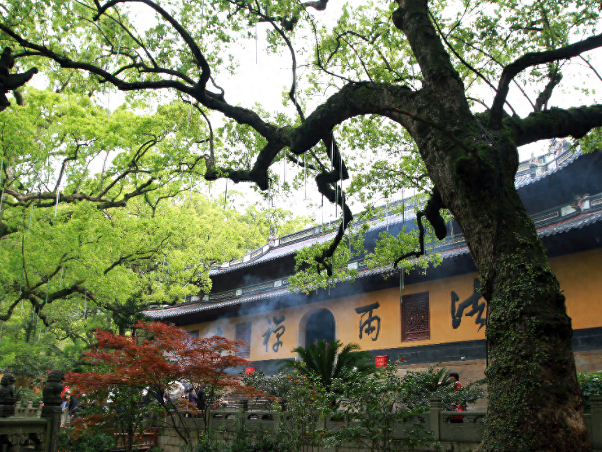 普陀山旅游_普陀l山_普陀爬山