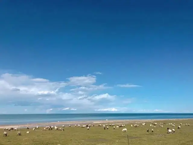 甘肃青海大环线10日游攻略_青海甘肃环线旅游攻略_青海甘肃环线旅游景点图