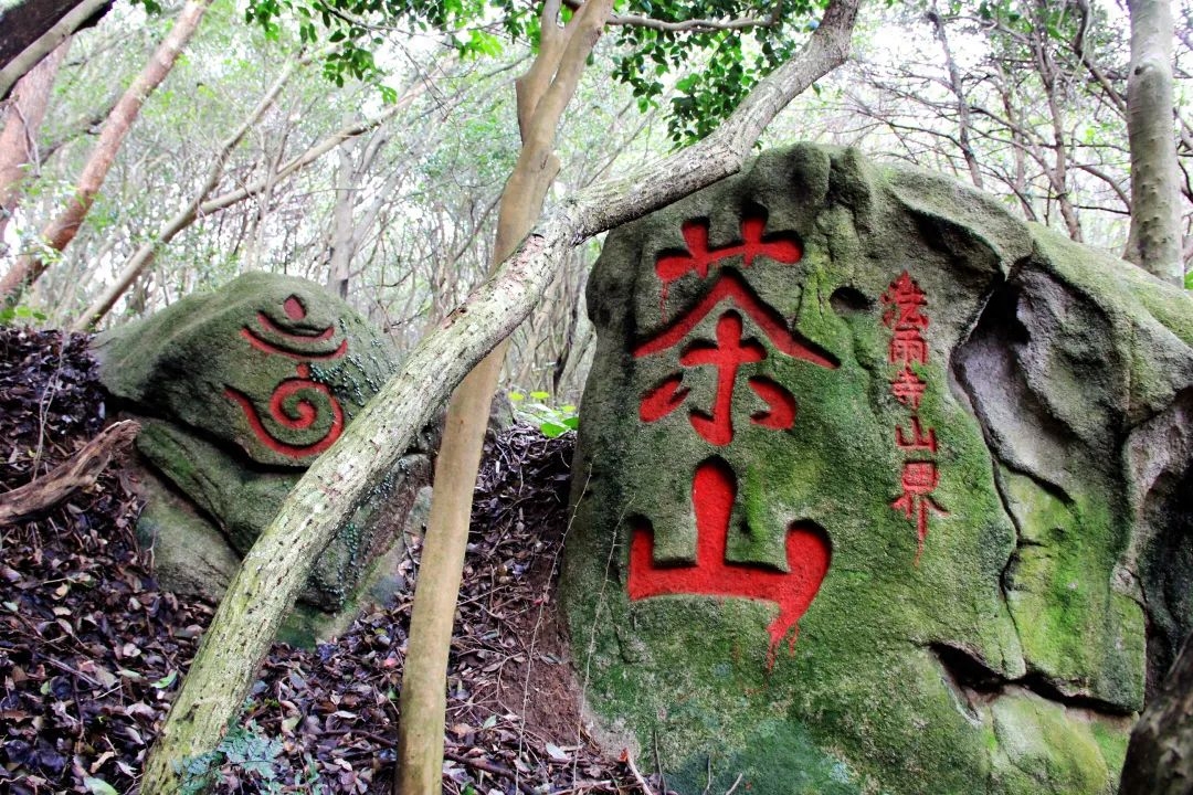 普陀山度假_普陀山旅游_普陀l山