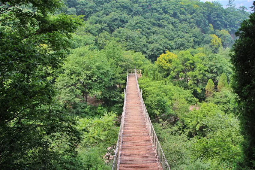 林州太行大峡谷视频_林州太行大峡谷_林州太行大峡谷路好走吗