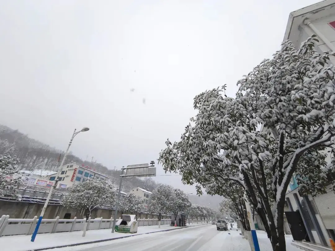 神龙架神龙顶天气预报_神龙架天气预报一周天气_神龙架天气