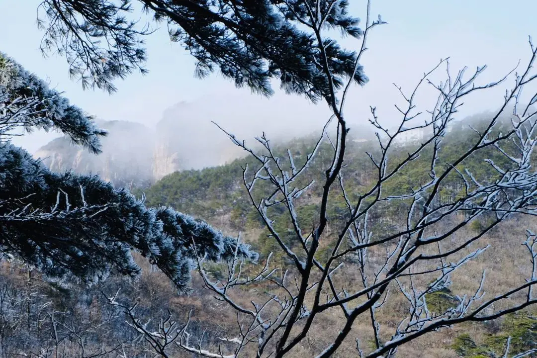 黄山爬上去小时要走多久_黄山爬上去要几个小时_黄山爬上去小时要爬多久