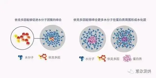 皮肤克星是激素药吗_皮肤克星的作用_依克多因对皮肤的作用