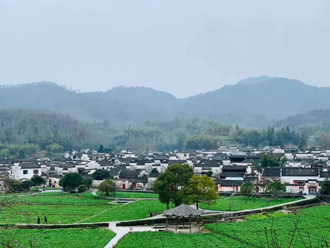 黄山爬上去小时要爬多久_黄山爬上去要几个小时_黄山爬上去小时要走多久