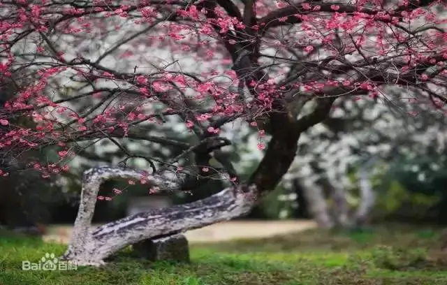 杭州旅游地图景点_杭州地图旅游_杭州旅游地图全图高清版本