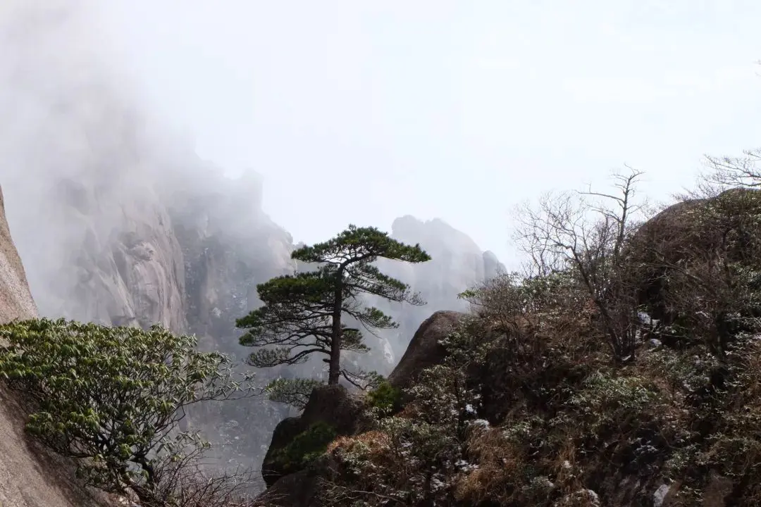 黄山爬上去要几个小时_黄山爬上去小时要爬多久_黄山爬上去小时要走多久