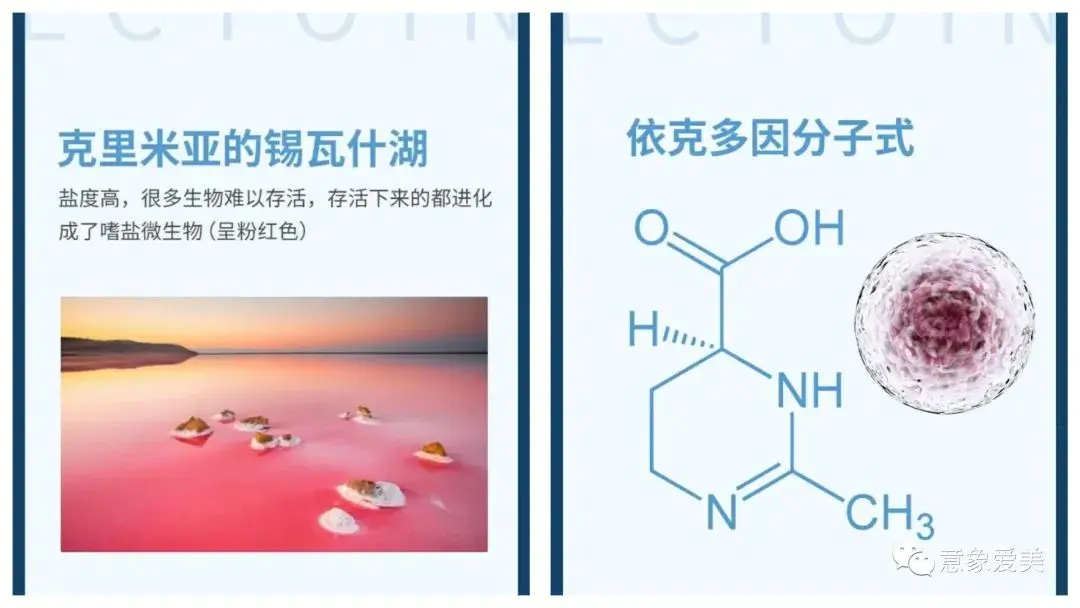 依克多因对皮肤的作用_皮肤克星的作用_皮肤克星是激素药吗