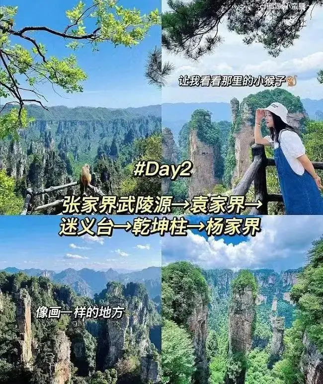 张家界游玩需要_去张家界要玩几天_去张家界旅游需要多少钱