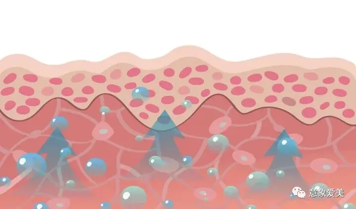 皮肤克星的作用_皮肤克星是激素药吗_依克多因对皮肤的作用