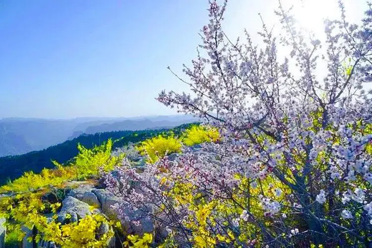 太行山大峡谷旅游攻略自驾_太行山大峡谷自驾游旅游攻略_太行山大峡谷自驾游最佳路线图