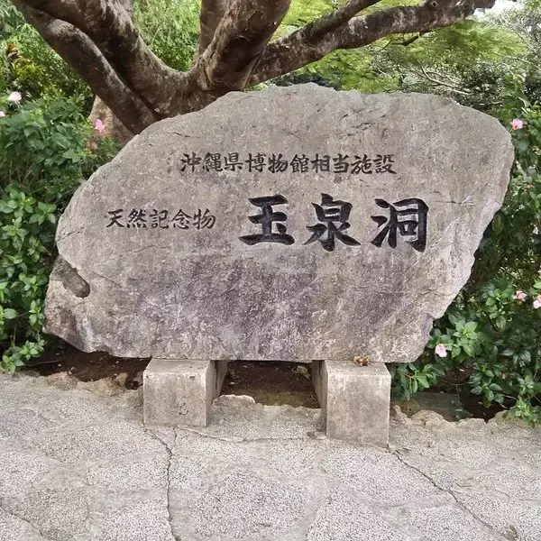 邮轮坐旅游可以带几条烟_邮轮可以自由行吗_哪里可以坐邮轮旅游