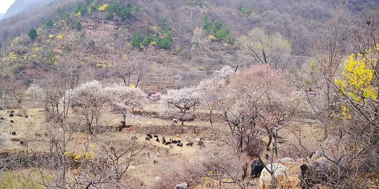 太行山大峡谷自驾游最佳路线图_太行山大峡谷旅游攻略自驾_太行山大峡谷自驾游旅游攻略