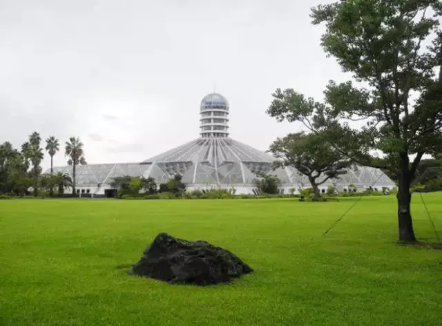 哪里可以坐邮轮旅游_邮轮坐旅游可以带几条烟_邮轮可以自由行吗