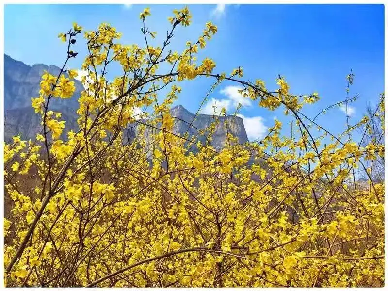 太行山大峡谷自驾游最佳路线图_太行山大峡谷自驾游旅游攻略_太行山大峡谷旅游攻略自驾