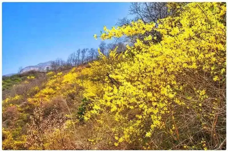 太行山大峡谷旅游攻略自驾_太行山大峡谷自驾游最佳路线图_太行山大峡谷自驾游旅游攻略