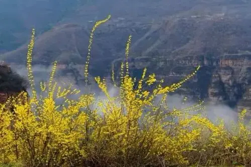 太行山大峡谷自驾游旅游攻略_太行山大峡谷自驾游最佳路线图_太行山大峡谷旅游攻略自驾