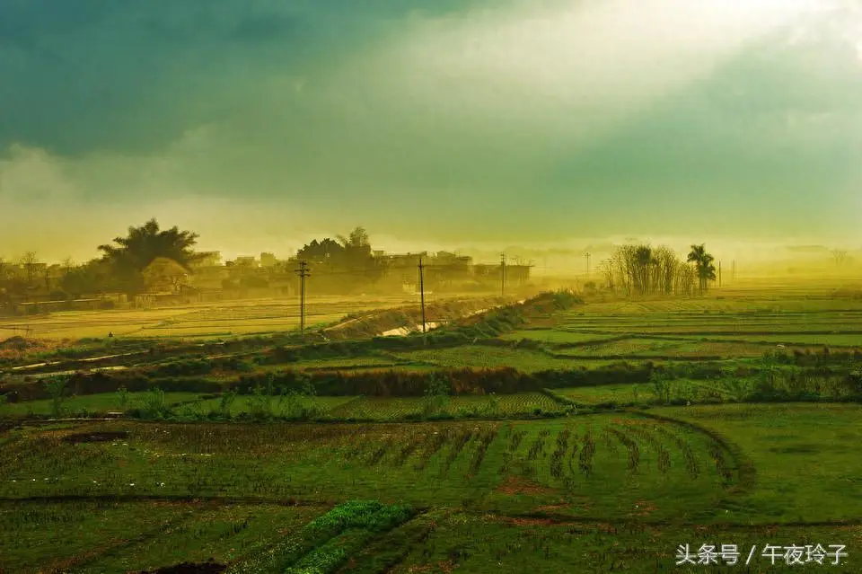 欢快纯音乐排行榜前十名_欢快的纯音乐背景音乐_欢快纯音乐