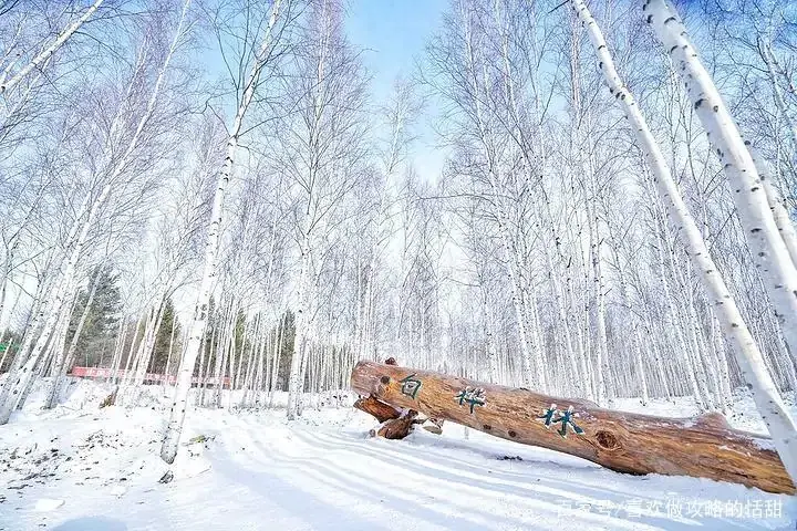 漠河旅游攻略必玩的景点_漠河旅游景点推荐_漠河旅游攻略自由行