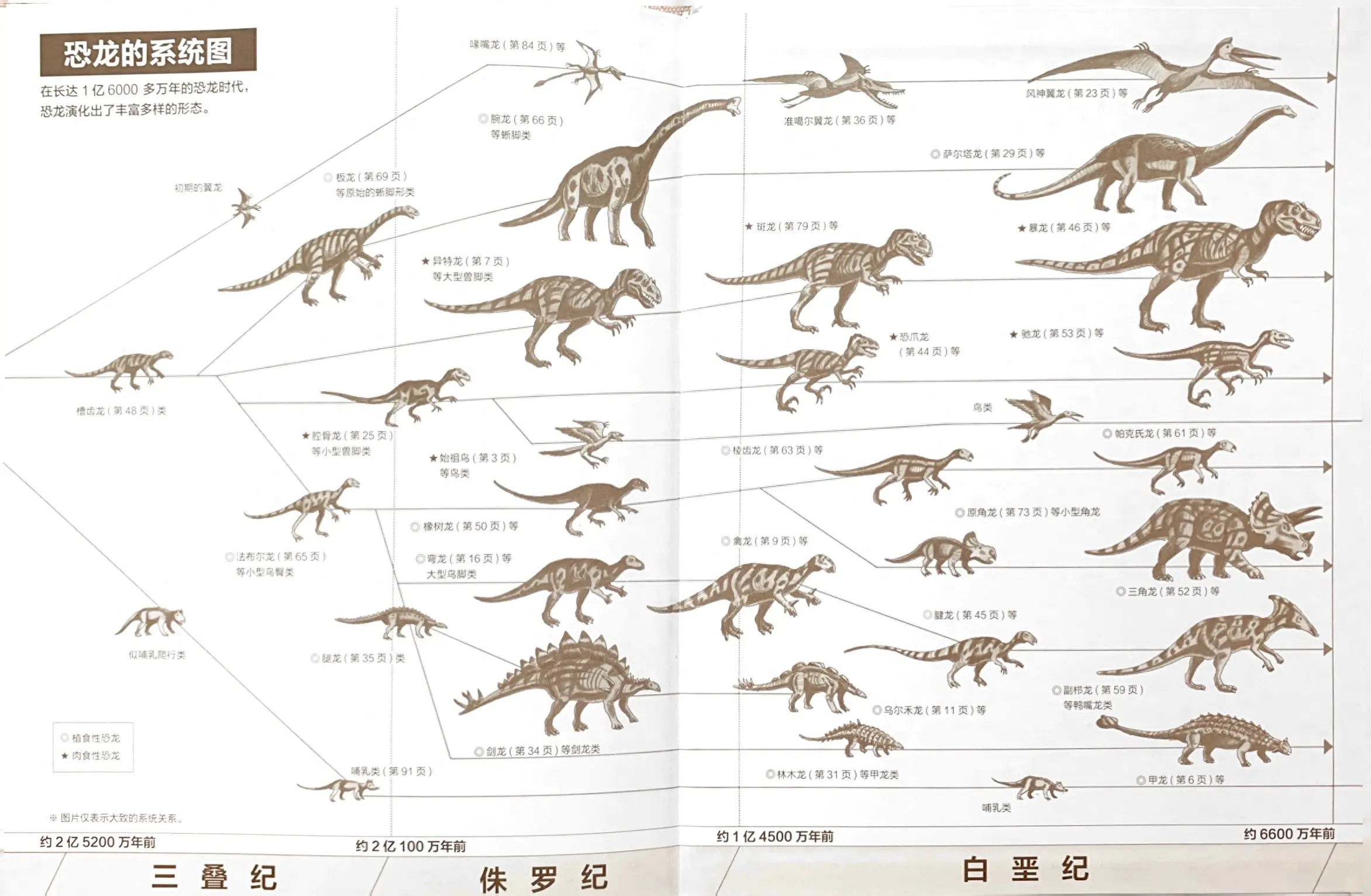 恐龙种类大全图解_恐龙图解种类大全大图_恐龙图示以及种类