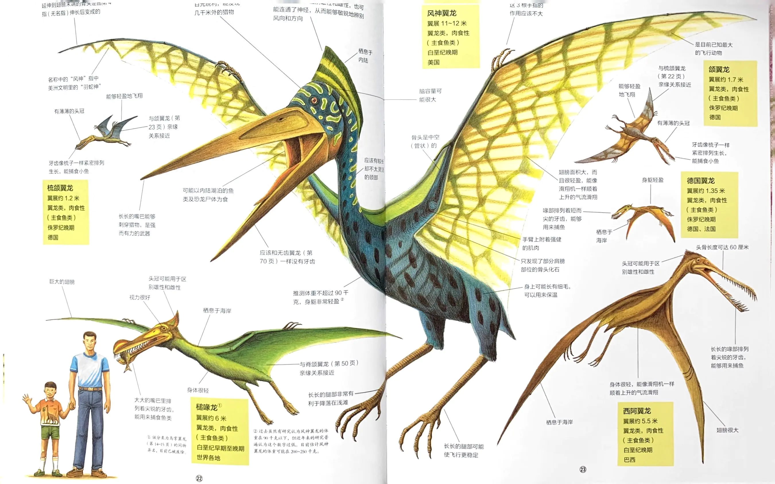 恐龙种类大全图解_恐龙图解种类大全大图_恐龙图示以及种类