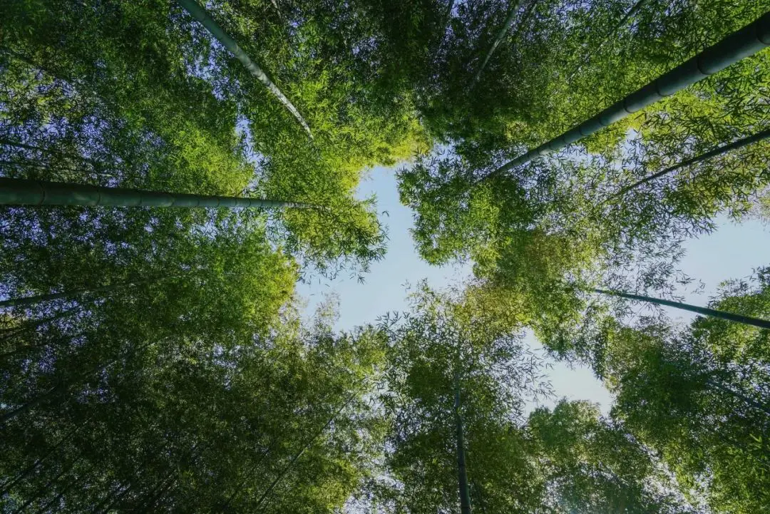 成都东站附近好玩的_成都东站附近有什么好玩的景点_成都东站周边景点