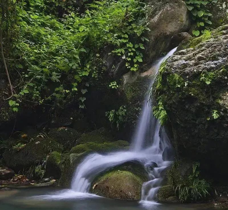 成都东站附近有什么好玩的景点_成都东站周边游_成都东站附近好玩的