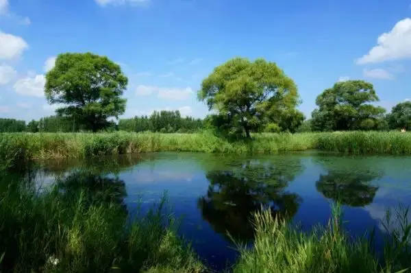 青岛沙滩好吗_青岛好看的沙滩_青岛沙滩哪里好