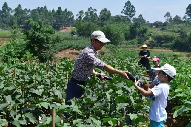 青岛好看的沙滩_青岛沙滩好吗_青岛沙滩哪里好