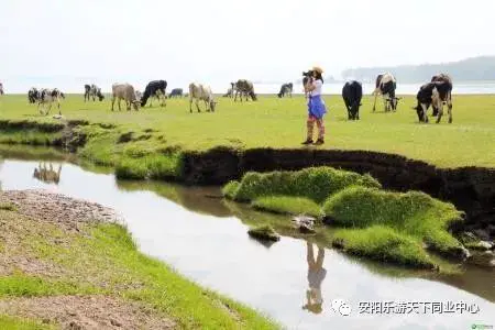 张北天路草原自驾游攻略2日游_张北天路草原门票多少钱一张_张北天路草原好玩吗