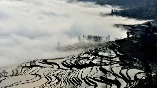 元阳梯田最佳旅游时间_元阳梯田最佳旅游时间_元阳梯田最佳旅游时间