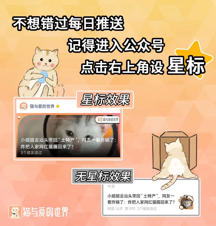 猎人赏金软件_赏金猎人_猎人赏金金币怎么用啊