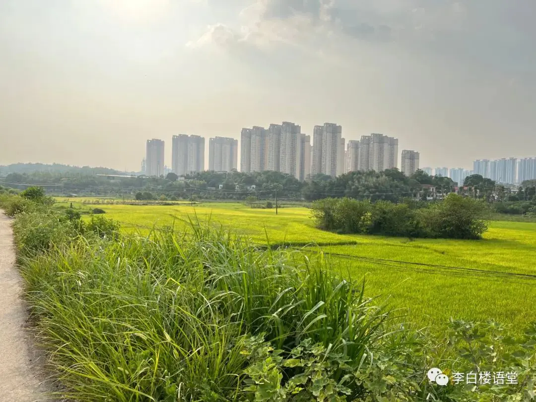 湖南大学湘江学院_湖南大学湘江学院_湖南大学湘江学院